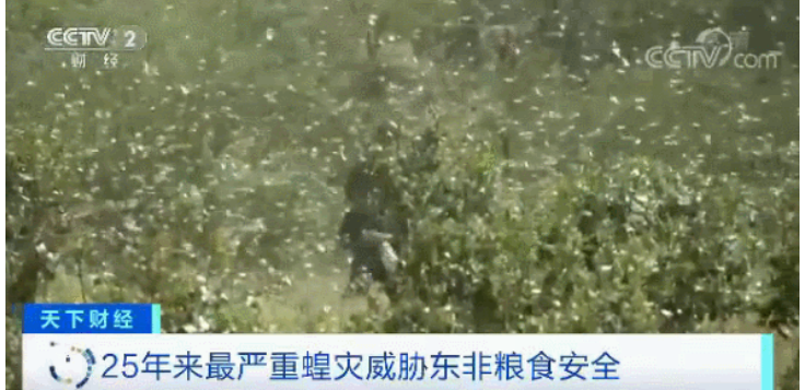 1609319871478059.png 圖片.png